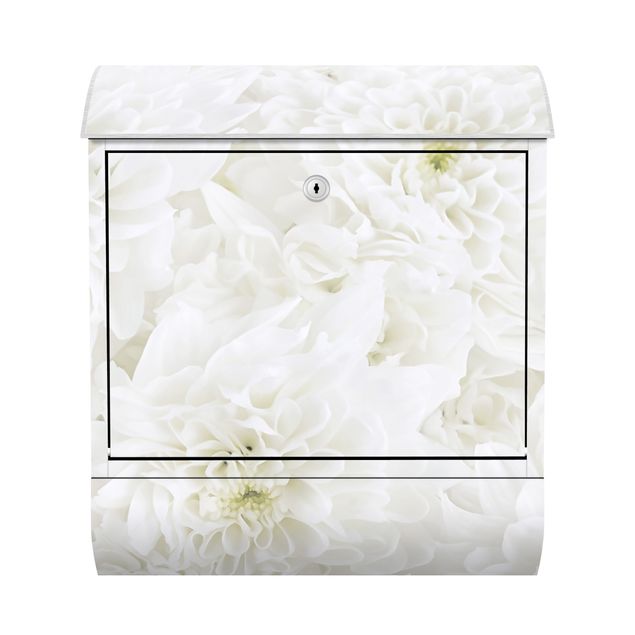 Letterboxes Dahlias Sea Of Flowers White