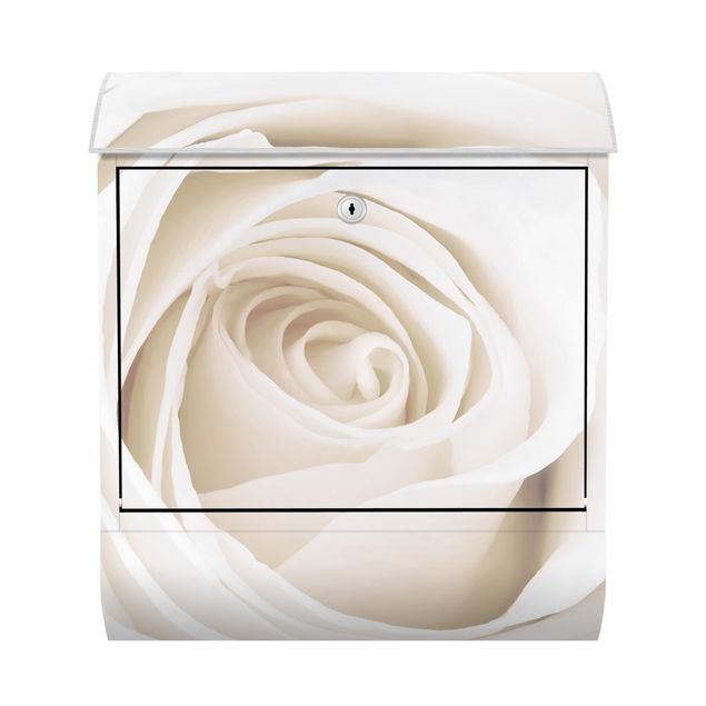 Letterboxes Pretty White Rose