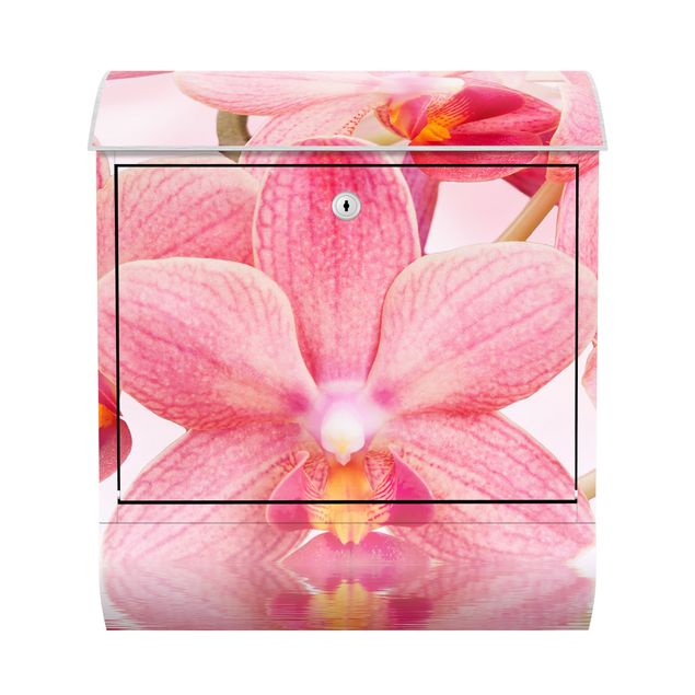 Letterboxes pink Light Pink Orchid On Water