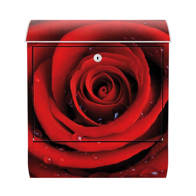 Letterboxes red Red Rose With Water Drops