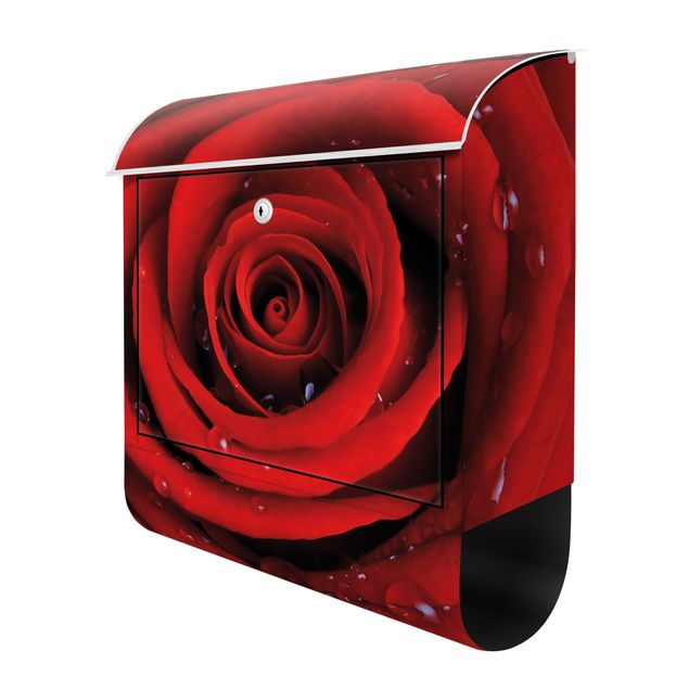 Letterboxes Red Rose With Water Drops