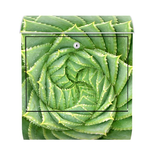Letterboxes green Spiral Aloe