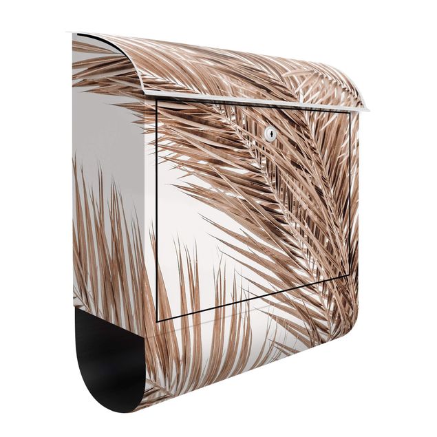 Letterboxes flower Bronze Coloured Palm Fronds