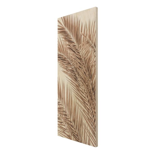Wood prints landscape Bronze Coloured Palm Fronds