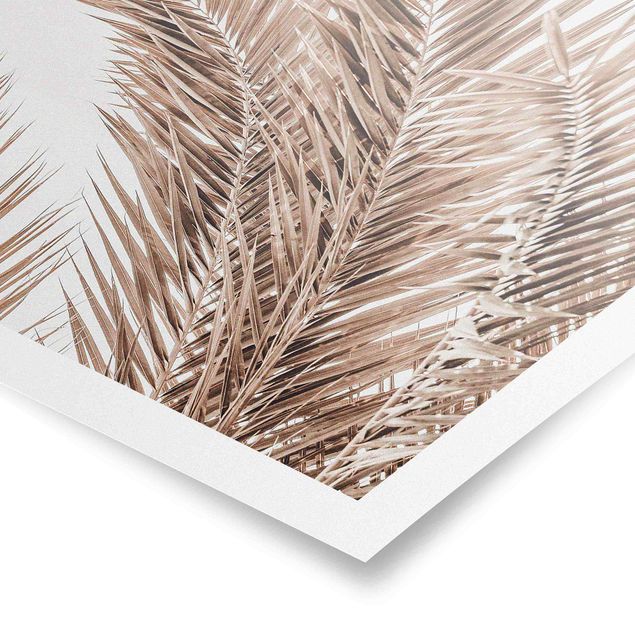 Modern art prints Bronze Coloured Palm Fronds