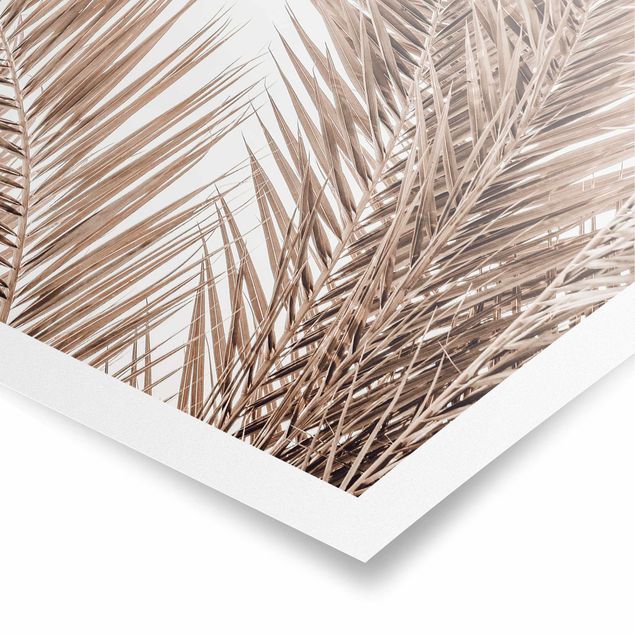 Modern art prints Bronze Coloured Palm Fronds