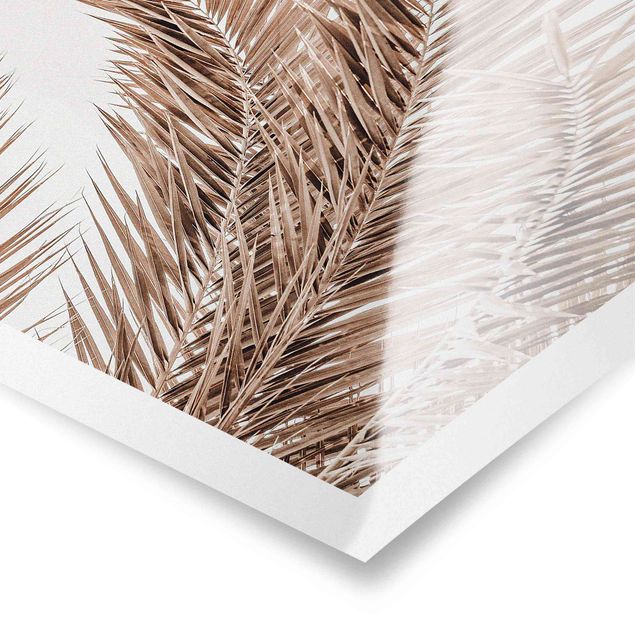 Prints brown Bronze Coloured Palm Fronds