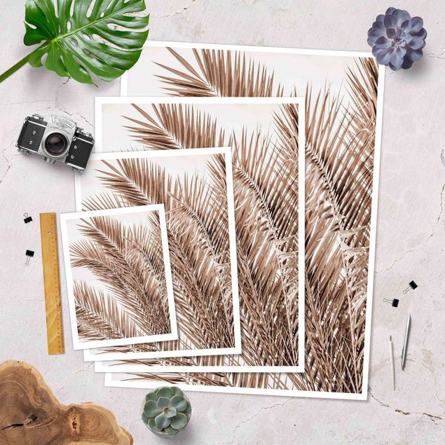 Prints Bronze Coloured Palm Fronds