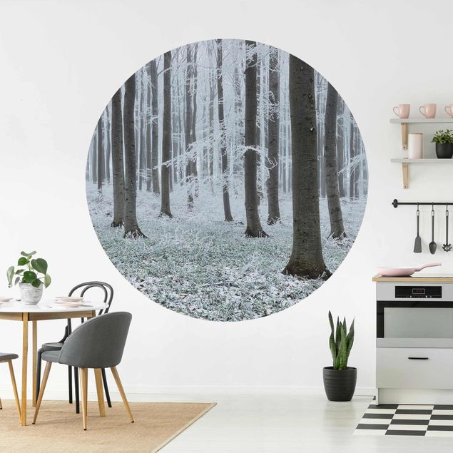 Wallpapers modern Beeches With Hoarfrost