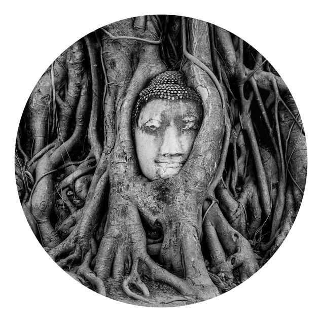 Wallpapers modern Buddha In Ayutthaya Lined From Tree Roots In Black And White