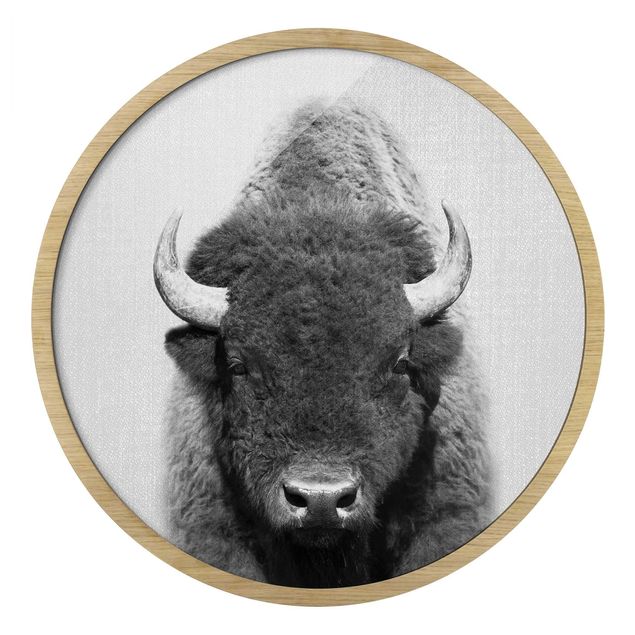 Black and white framed pictures Buffalo Bertram Black And White