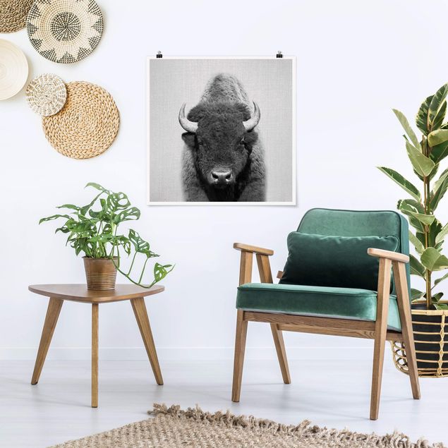 Animal canvas Buffalo Bertram Black And White