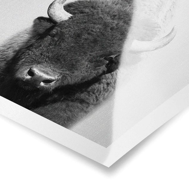 Gal Design prints Buffalo Bertram Black And White