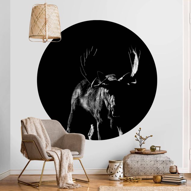 Black white wallpaper Bull In The Dark
