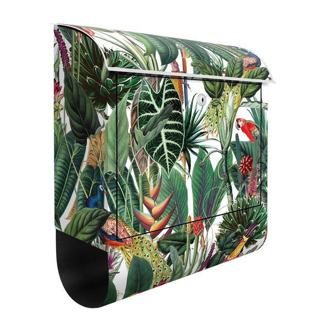 Letterboxes flower Colourful Tropical Rainforest Pattern
