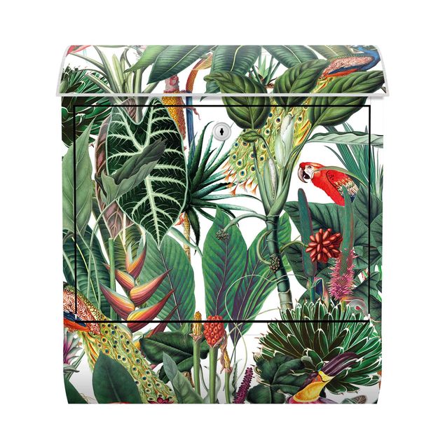 Letterboxes animals Colourful Tropical Rainforest Pattern