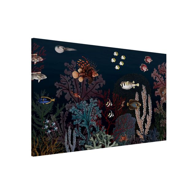 Prints fishes Colourful coral reef at night