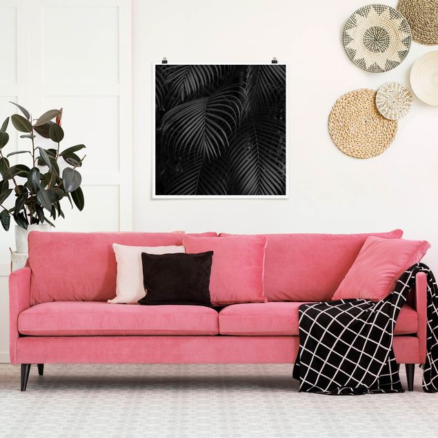 Art posters Black Palm Fronds