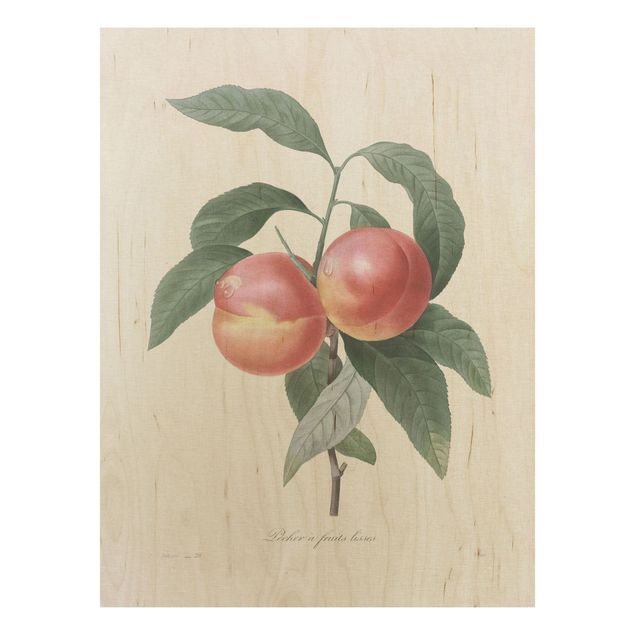 Wood prints flower Botany Vintage Illustration Peach