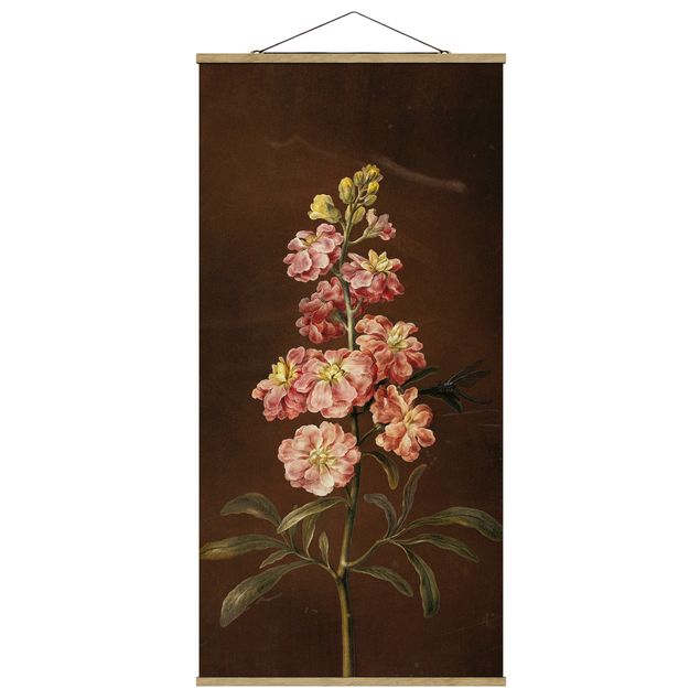 Flower print Barbara Regina Dietzsch - A Light Pink Gillyflower