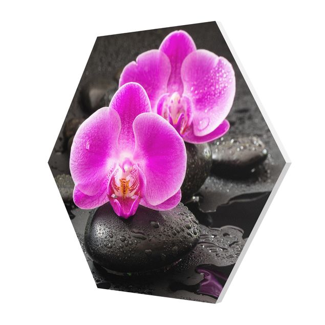 Forex photo prints Pink Orchid Flowers On Stones With Drops