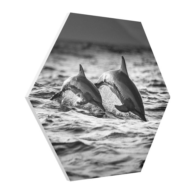 Modern art prints Two Jumping Dolphins