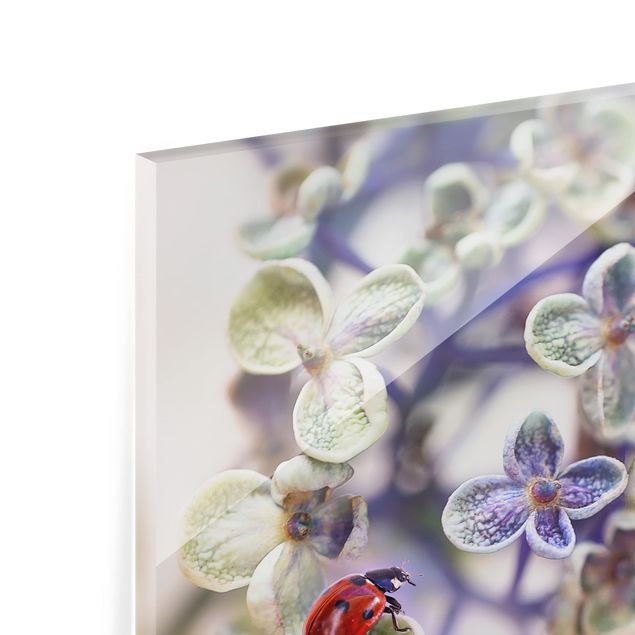 Glass Splashback - Ladybugs In The Garden - Landscape 2:3