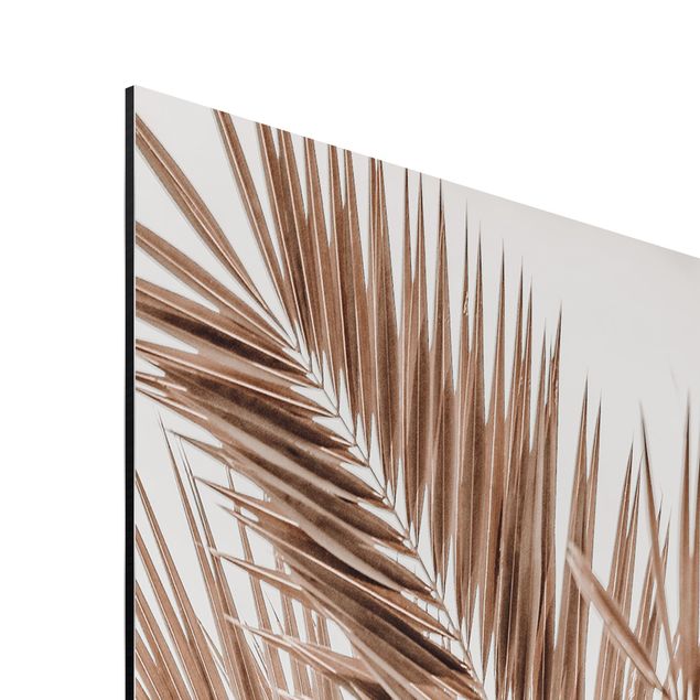 Prints modern Bronze Coloured Palm Fronds