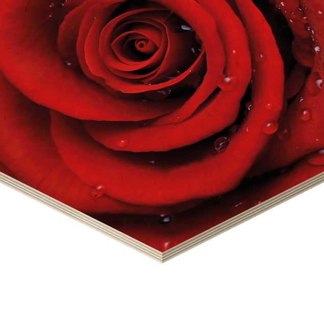 Wooden hexagon - Red Rose With Water Drops