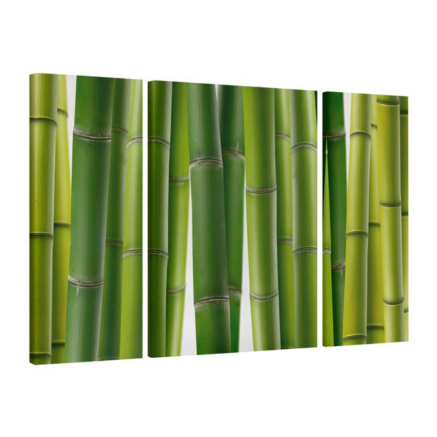 Bamboo framed art Bamboo Plants