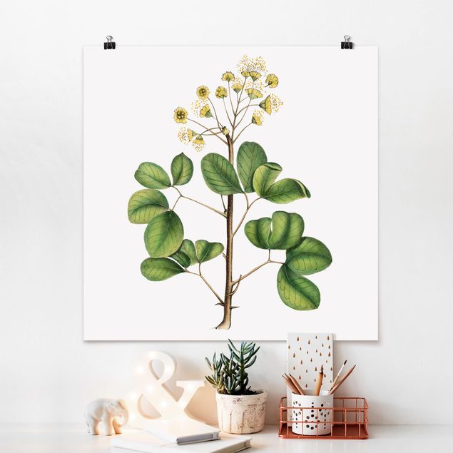 Vintage wall art Foliage With Flowers IV