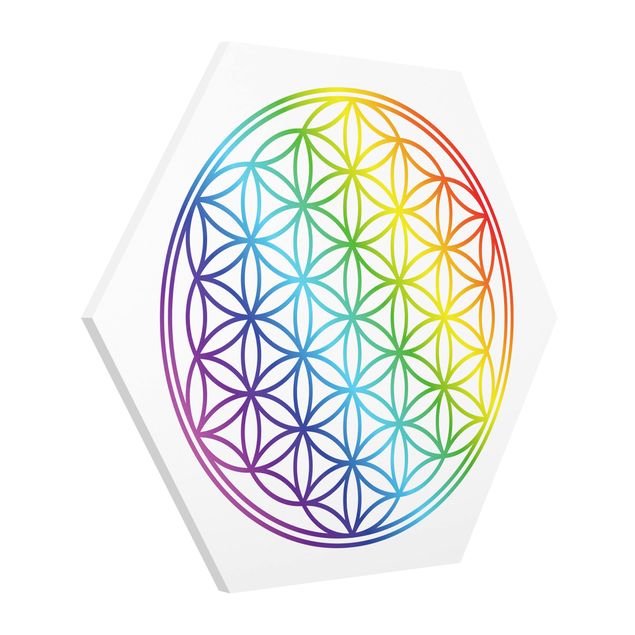 Prints patterns Flower of Life rainbow color