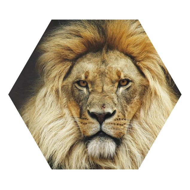 Forex prints Wisdom Of Lion