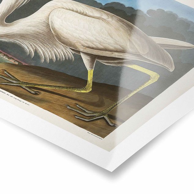 Prints Vintage Board Great White Egret