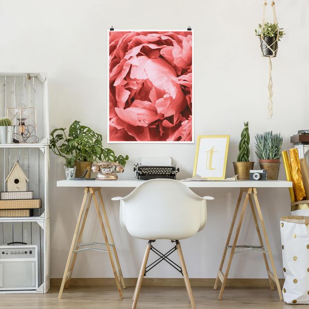 Floral prints Peony Blossom Coral