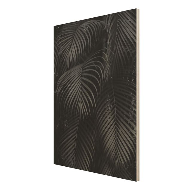 Andrea Haase Black Palm Fronds