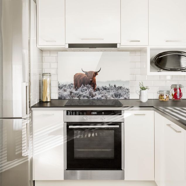 Glass splashback kitchen animals Bison In The Highlands