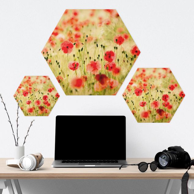 Hexagon photo prints Summer Poppies