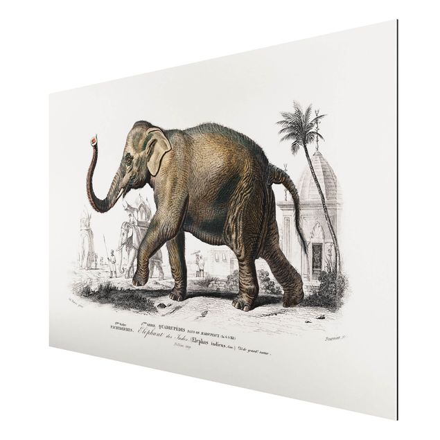Landscape canvas prints Vintage Board Elephant