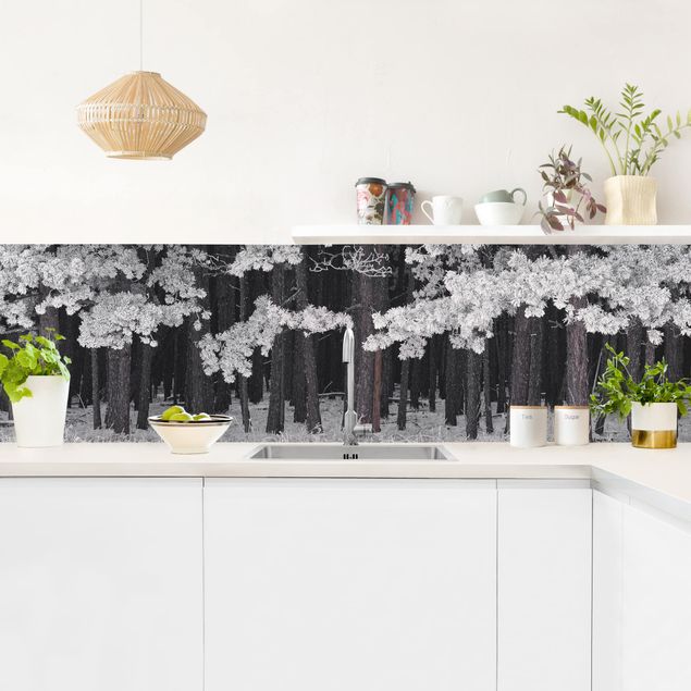 Kitchen splashback black and white Forest With Hoarfrost In Austria