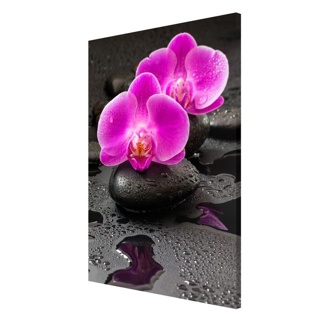 Magnet boards flower Pink Orchid Flower On Stones With Drops
