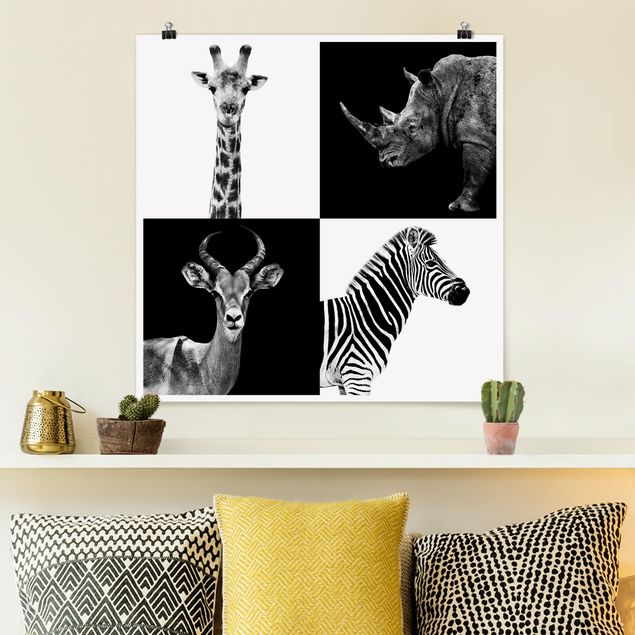 Prints zebra Safari Quartet