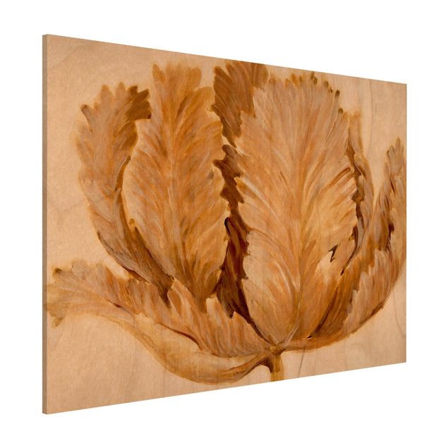 Kitchen Sepia Tulip On Wood II