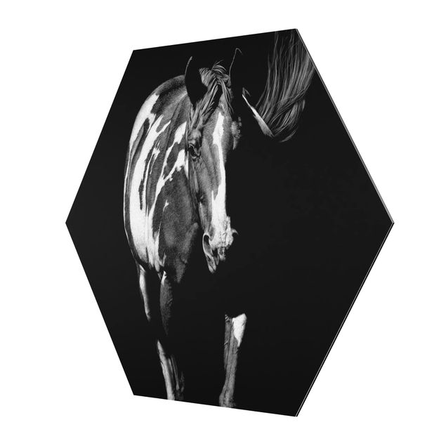 Prints Horse In The Dark