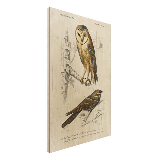 Kitchen Vintage Board Owl And Swallow