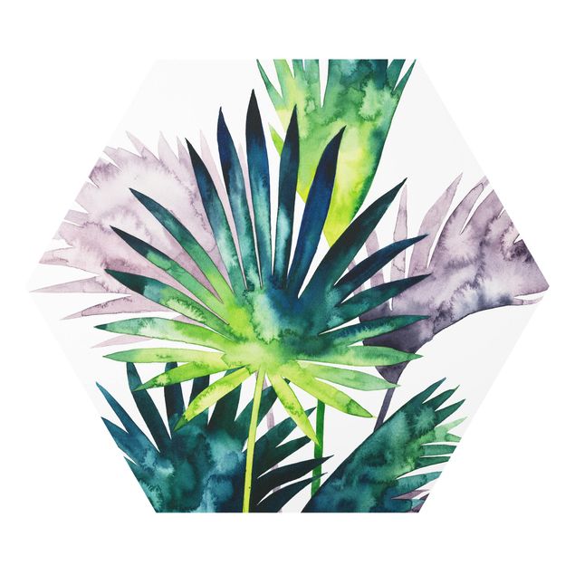 Forex photo prints Exotic Foliage - Fan Palm