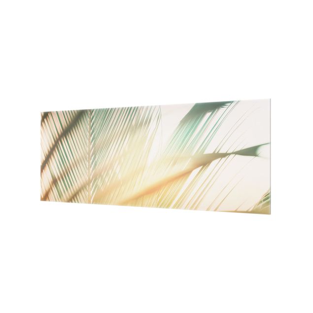 Glass Splashback - Tropical Plants Palms At Sunset II - Panoramic
