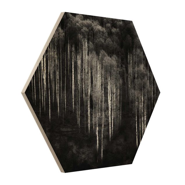 Wood photo prints Birch Forest In Aspen
