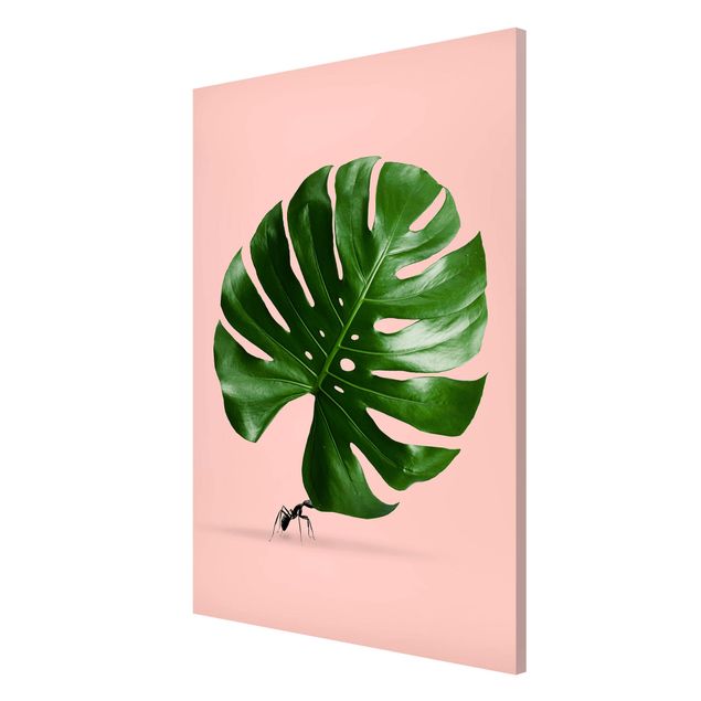 Floral canvas Ant With Monstera Leaf