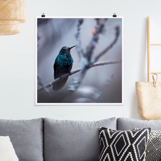 Prints animals Hummingbird In Winter